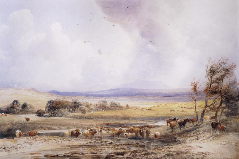 Peter Dewint View on the Lowther,with Cattle in the Water Germany oil painting art